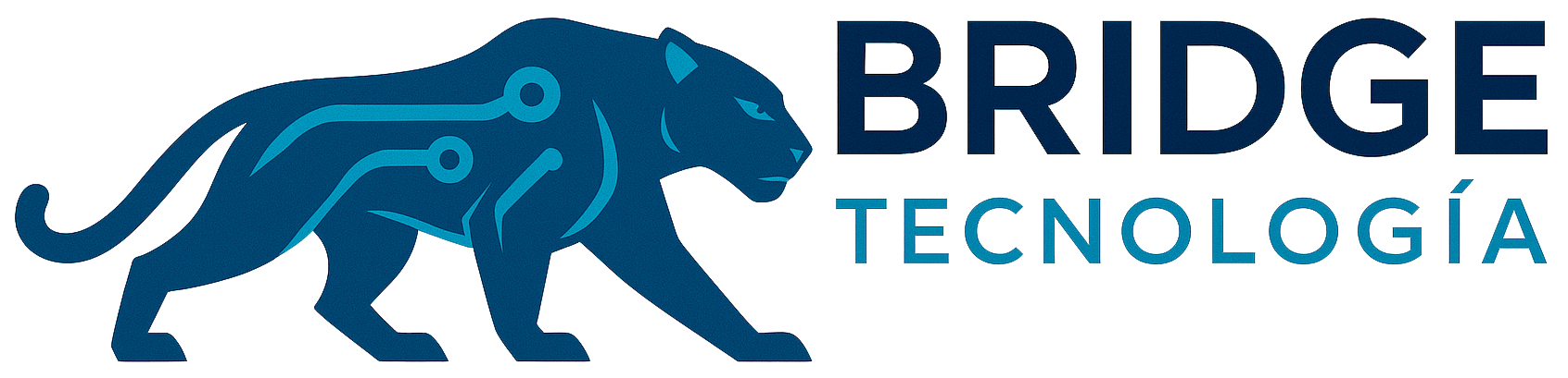 Bridge Tecnología